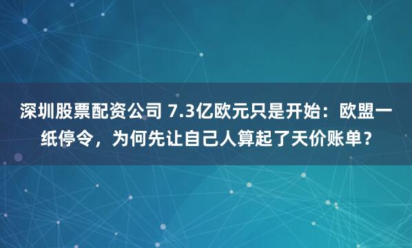 深圳股票配资公司 7.3亿欧元只是开始：欧盟一纸停令，为何先让自己人算起了天价账单？