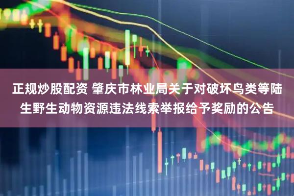 正规炒股配资 肇庆市林业局关于对破坏鸟类等陆生野生动物资源违法线索举报给予奖励的公告